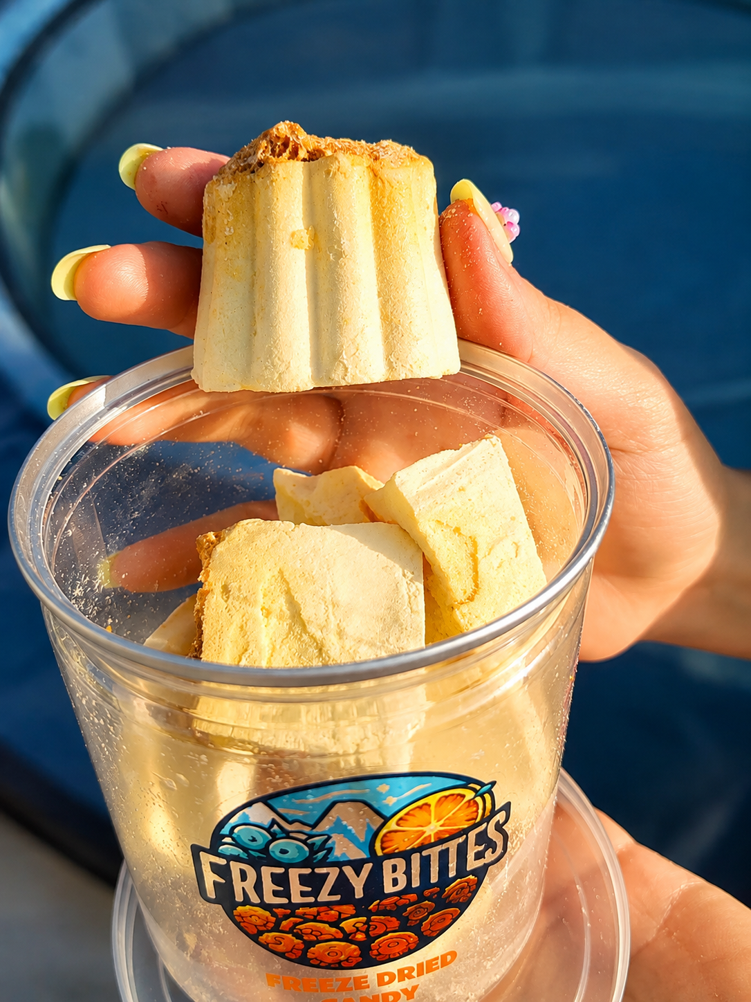 Freeze-Dried Caramel Custard