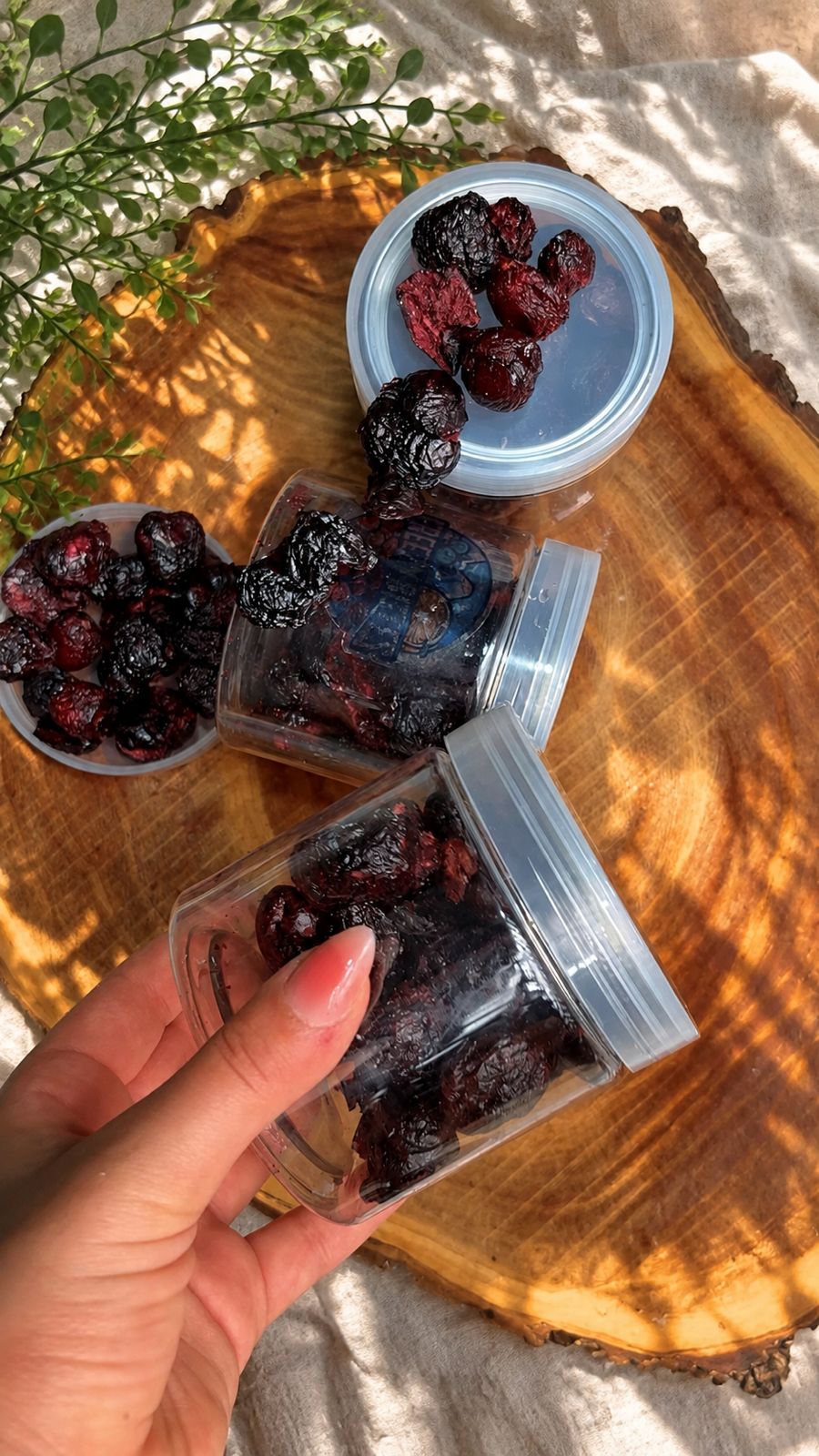 Freeze-Dried red and black Cherry كرز مجفف بتبريد